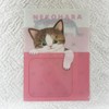 Gakken Stayful Clear Holder, Cat Hara Stationery, A4, Pocket File,