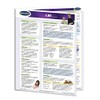 Graduate Record Examinations Study Guide - GRE - Quick Reference