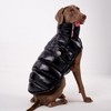 ChoChoCho Winter Dog Jacket, Cold Weather Coats, Lightweight, Thermal Insulated,