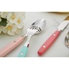 ANNOVA Silverware Set 20 Pieces Stainless Steel Color Handle With