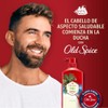 Old Spice Fiji 2 en 1 Champú y acondicionador para