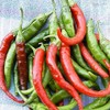Long Slim Cayenne Hot Pepper Garden Seeds - 4 Oz
