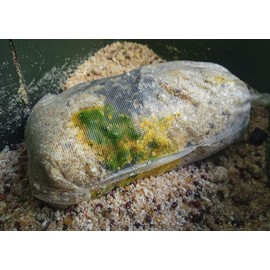 Tandem Baits Pack of 3 PVA Bags Standard Net PVA Bags for Boilies | PVA Hose Water Soluble | Feeding Hose for Bait | Carp Accessories Professionals & Hobby Anglers 3 x 20 Pieces 140 x 70 mm