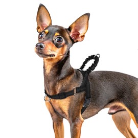 PUPTECK No Pull Dog Harness Small Sized Dog, Adjustable Reflective Pet Vest Harness with Bungee Handle, Escape Proof No Choke Harness for Small Dogs Walking Training, Black XS