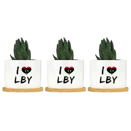 DecStic I Love Libyan Arab Jamahiriya Planter Ceramic Round Flower Pots with Drainage Holes and Bamboo Tray Pot for Succulents Cactus Garden Windowsill