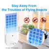 Indoor Fly Trap for Home - Flying Insect Trap Fruit
