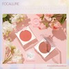 FOCALLURE Powder Palette Blush, Matte Mineral Blush Powder, Bright Shimmer