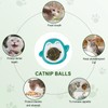 Catnip Balls Toy for Cat, Pack of 3 Catnip Ball