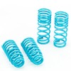 Godspeed LS-TS-HA-0004-B Traction-S Performance Lowering Springs, Improve Overall Handling And