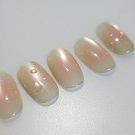 Guava handmade nail tip cheek magnet nail - almond short / 구아바 수제네일팁 치크 자석네일 - 아몬드숏