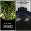 Glow Storage Jar with Grinder LED Waterproof Transparent Glass Seal