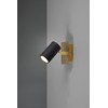 Trio Leuchten Marley 802400180 Spotlight Metal Black Matt / Brass