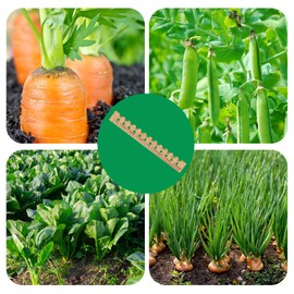 Spacer Tool Seeder Planting Ruler - Seeding Spacing Ruler with Precise Measurements,Seedlings Dibber Hand Transplanting Tools,for Vegetable Gardens, Yard