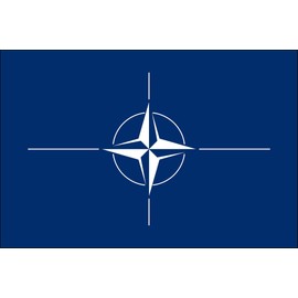3x5 NATO Polyester Indoor or Outdoor Flag, More Than 200+ 3x5 Foot (90x150 cm) International Flags Available