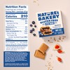 Nature’s Bakery Gluten Free Fig Bars, Blueberry, Real Fruit, Vegan,