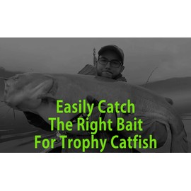 Sumo Spoon – Catfishing Bait Spoon for Skipjack, White Bass, Striped Bass and Other Baitfish, 1 5/8" (1 5/8", 1-Prong, Pink)