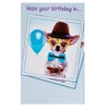 Greeting Card Hope Your Birthday Is Picture Perfect with Chihuahua