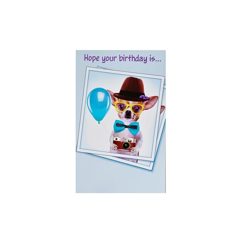 Greeting Card Hope Your Birthday Is Picture Perfect with Chihuahua