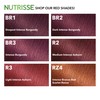 Garnier Nutrisse Ultra Color Nourishing Hair Color Creme, R3 Light