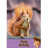 Squirrel Birthday Card