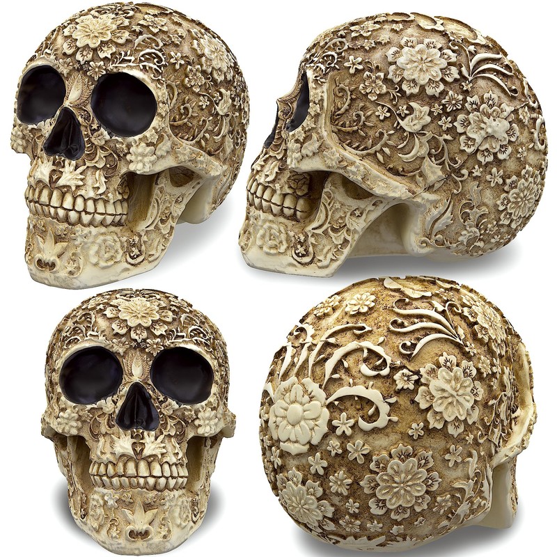 READAEER Life-Size Skeleton Replica Realistic Human Skull Head Bone Model