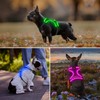 Vizbrite Rechargeable LED Dog Harness - No Pull, 4 Point