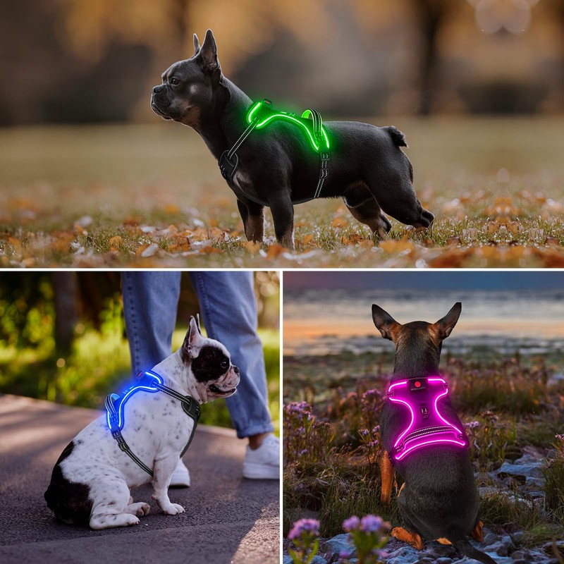 Vizbrite Rechargeable LED Dog Harness - No Pull, 4 Point