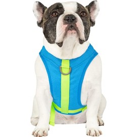 Canada Pooch Dog Cooling Harness - Evaporative Cooling Harness Vest for Dogs with Breathable Mesh Material & Reflective Lining, Adjustable Dog Cooling Vest Great for Dogs