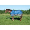 Weaver Leather Turnout Horse Blanket, Threadflare, 600D, Dazzing Blue 84"
