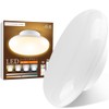 LED Ceiling Light, 4 Tatami, 6 Tatami Mats, Smartphone Control,