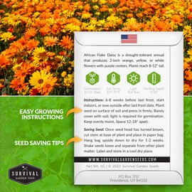 Survival Garden Seeds 1 Pack African Flake Daisy Seeds for Planting with Instructions to Grow Colorful Flowers with Purple Centers in Your Home Flower Garden - Non-GMO Heirloom