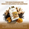 DR. Crown Turmeric Curcumin Supplement, 95% Standardized Curcuminoids