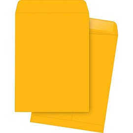 Business Source Large Format/Catalog Envelopes Catalog Envelope, 10"x13" (42101)