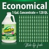 OdoBan Disinfectant Concentrate and Odor Eliminator, Made in the USA,