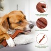 SPOT Bam-Bones Plus Branch -Bamboo Fiber & Nylon, Durable Long