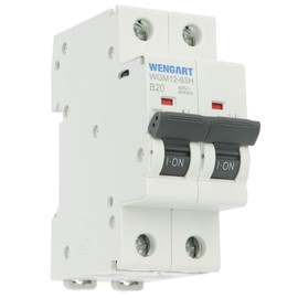 Wengart MCB Circuit Breaker WGM12-63H, 20A AC230V 2P 10kA B-Char, Suitable for Household Appliances and Lighting Circuits, Suitable for Distribution Boxes