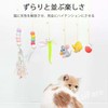 EsiFare Cat Toy, 4-piece Set, Over the Door, Relieves Lack