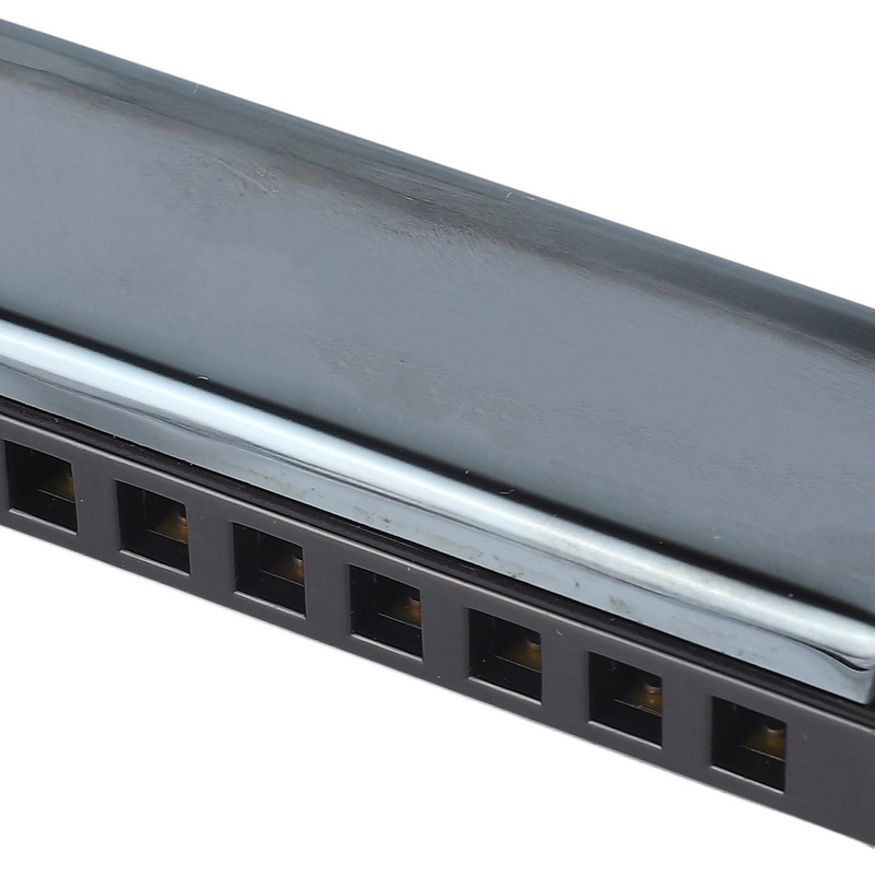 Blues Harmonica C Key 10 Holes Diatonic Mouthorgan Wind Instrument