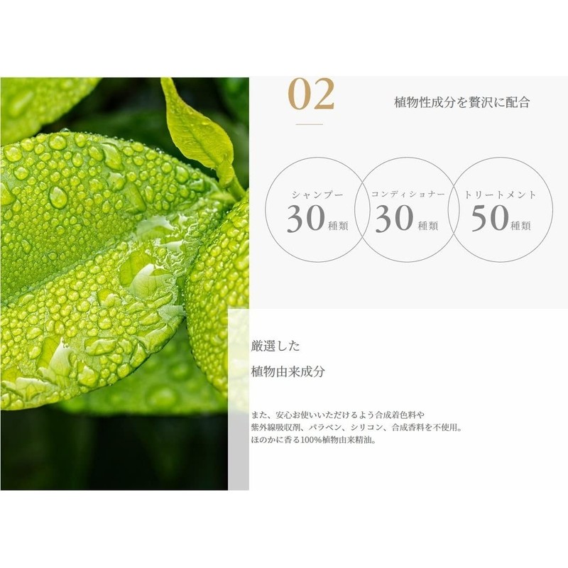 Alescolor Capitorino Treatment R 9.2 oz (260 g)