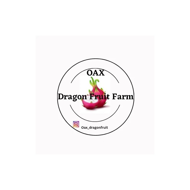 oax dragon fruit farm Mature Cuttings On Dragon Fruit Variety