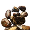 BellaMira Nguni Jasper Tumblestone Healing Crystal, Single Polished Stone, Healing