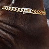 BAOBOTE Gold Dog Chain Collar Walking Metal Chain Collar with