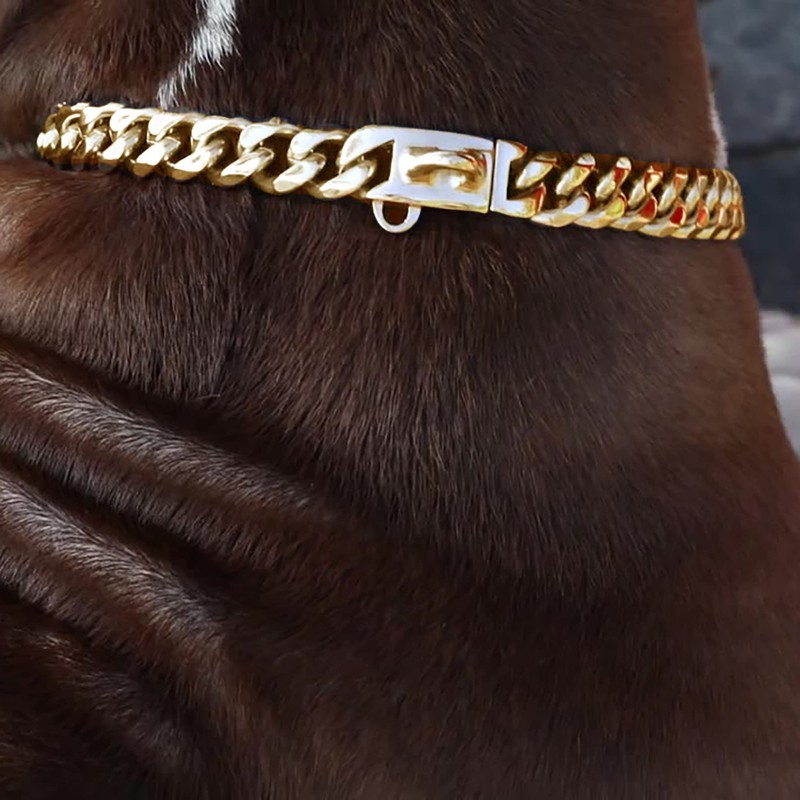 BAOBOTE Gold Dog Chain Collar Walking Metal Chain Collar with