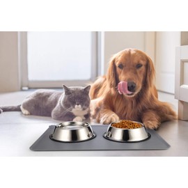 Podinor Stainless Steel Dog Bowls, Food and Water Non Slip Anti Skid Stackable Pet Puppy Dishes for Small, Medium and Large Dogs (2 Pack)