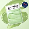 Torriden Balanceful Modeling Pack 5ea - Torriden Balanceful Modeling Pack