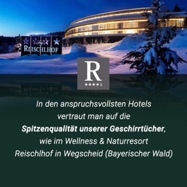 ZOLLNER 352 Tea Towels, 65 x 65 cm, 100% Cotton, 236 g/m², Set of 6, Anthracite