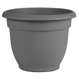 Bloem AP06908 Ariana Self Watering Planter 6", Charcoal Gray