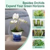 vensovo 5.5 Inch Ceramic Orchid Pot - Orchid Pot with