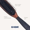 Kent Hog Range Head Hog Hair Brush