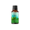Aceite esencial de Albahaca Bnature 30 ml aromaterapia